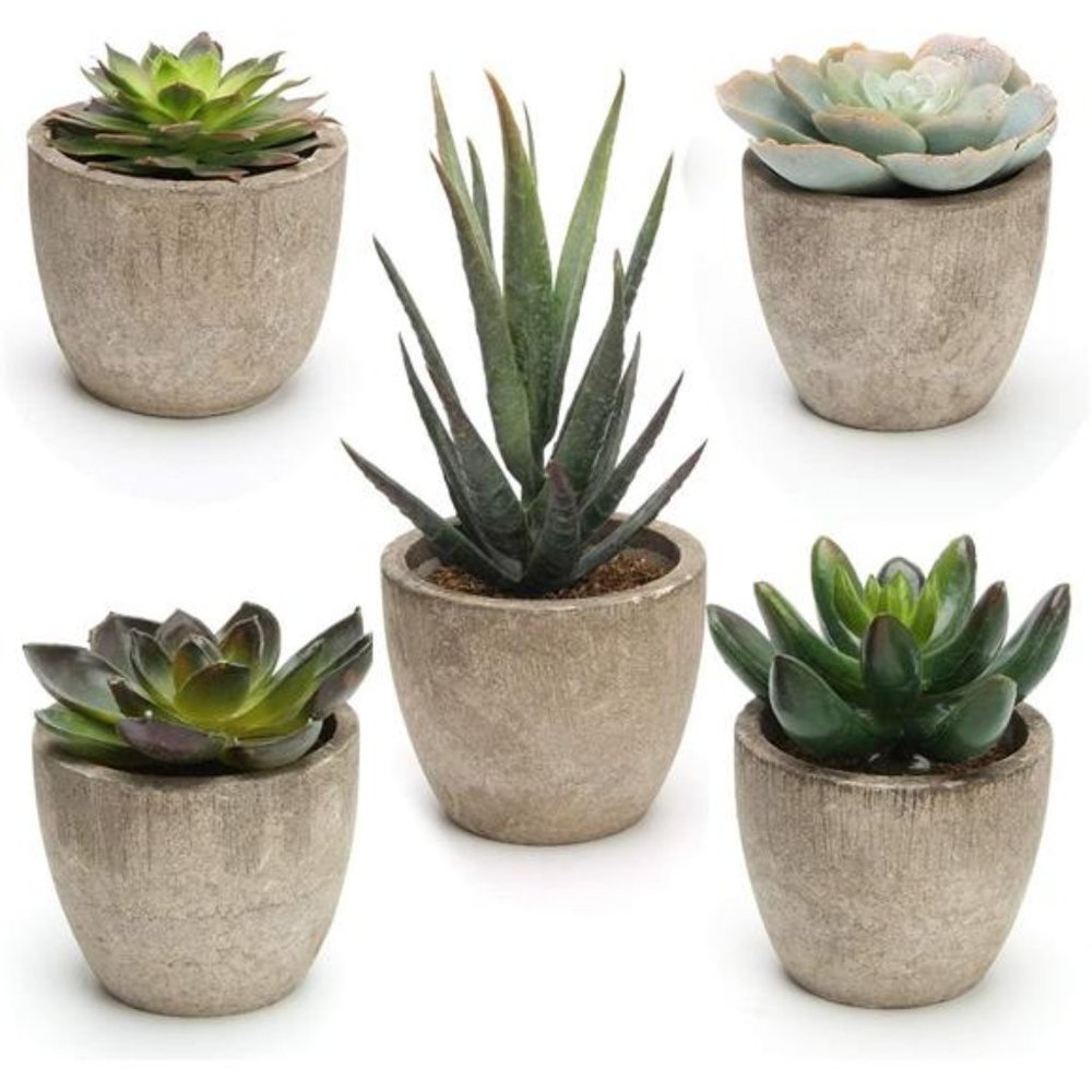 5 Pack Potted Artificial Succulent Plants Assorted Decorative Faux Fake Decor